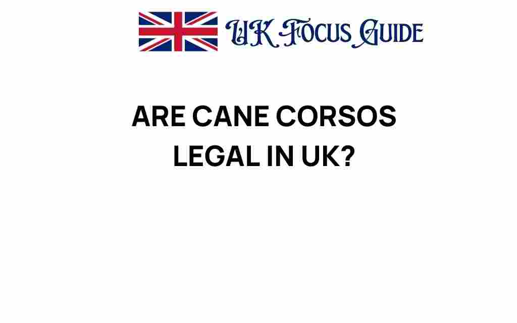 are-cane-corsos-legal-in-uk