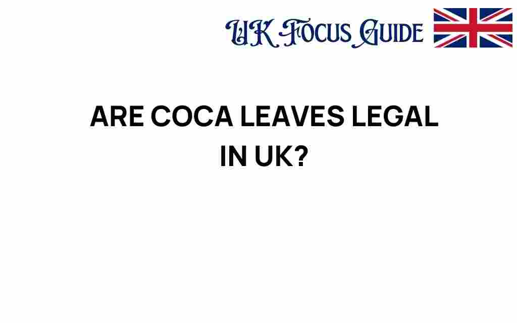 are-coca-leaves-legal-in-uk