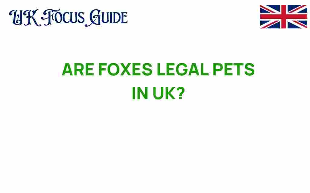 are-foxes-legal-pets-uk