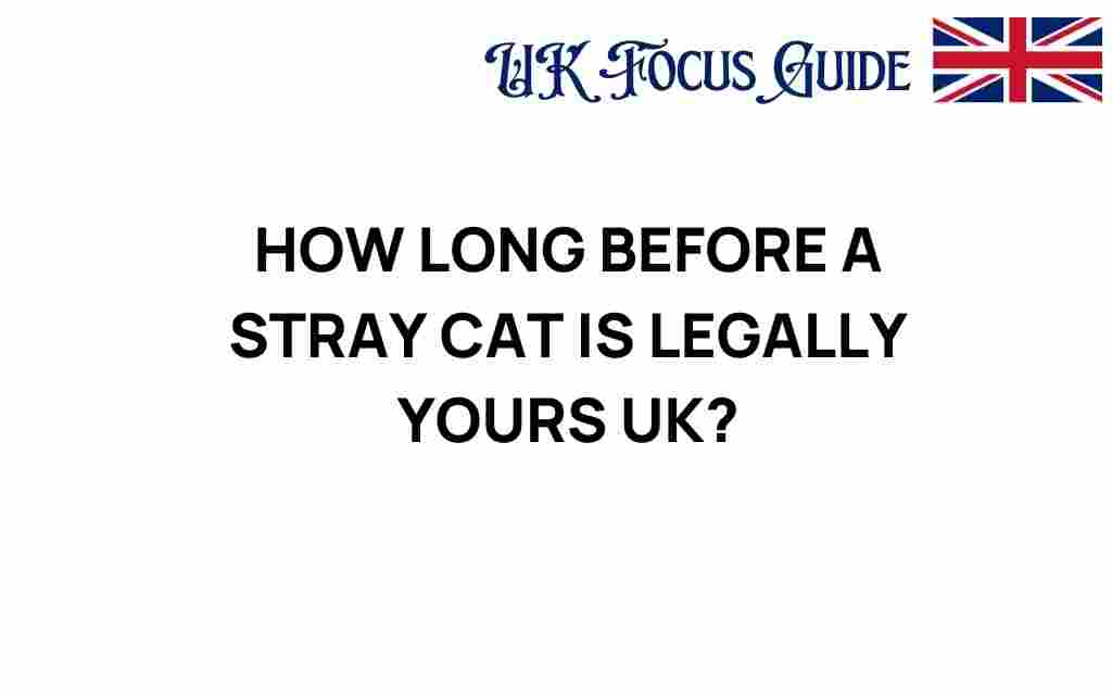 how-long-before-stray-cat-legally-yours-uk