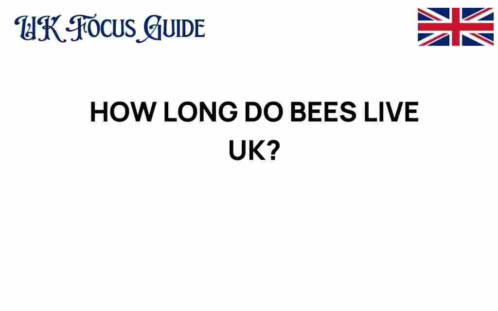 how-long-do-bees-live-uk