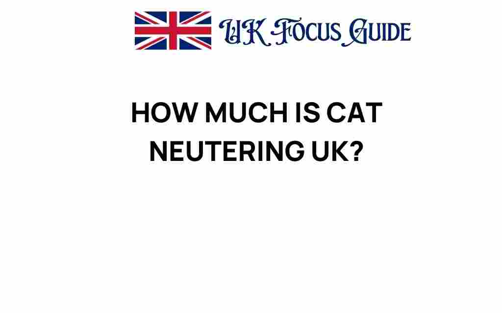 cat-neutering-uk-costs
