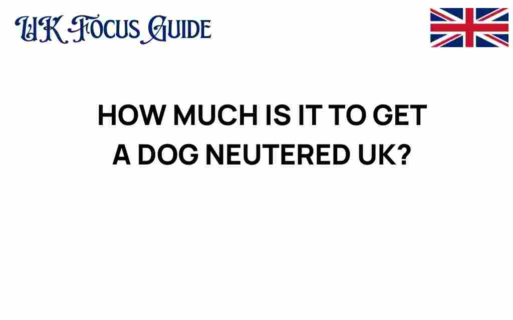 dog-neutering-cost-uk