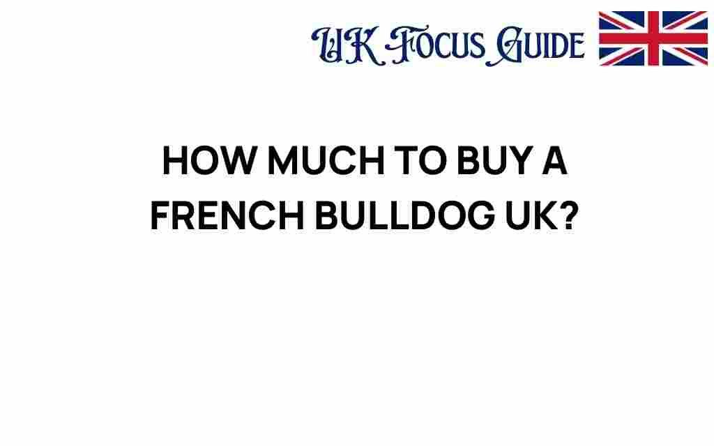 how-much-to-buy-a-french-bulldog-uk