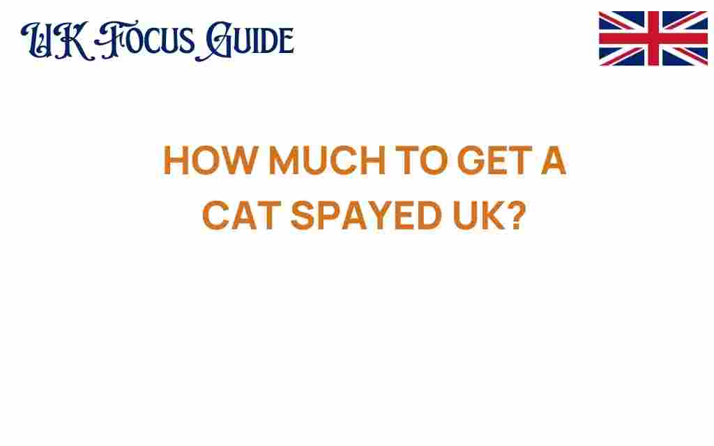 how-much-cat-spayed-uk