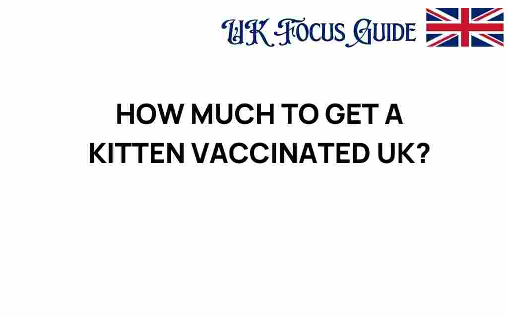 how-much-to-get-a-kitten-vaccinated-uk