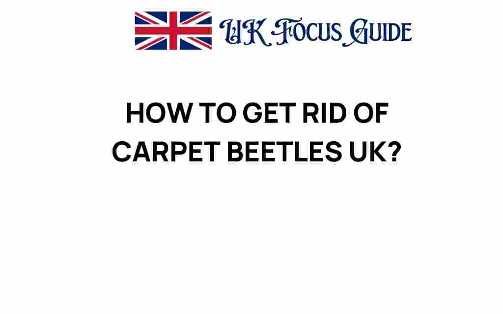 get-rid-of-carpet-beetles-uk