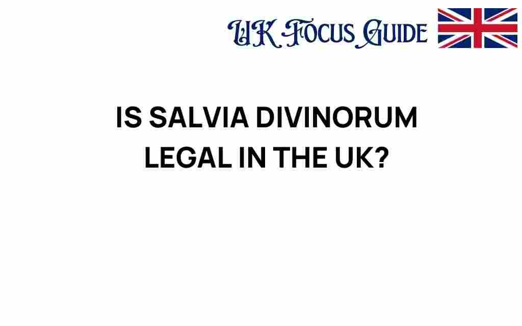 is-salvia-divinorum-legal-in-uk