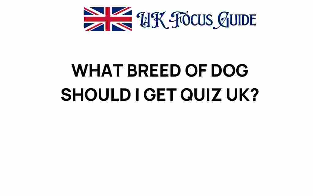 what-breed-of-dog-should-i-get-quiz-uk