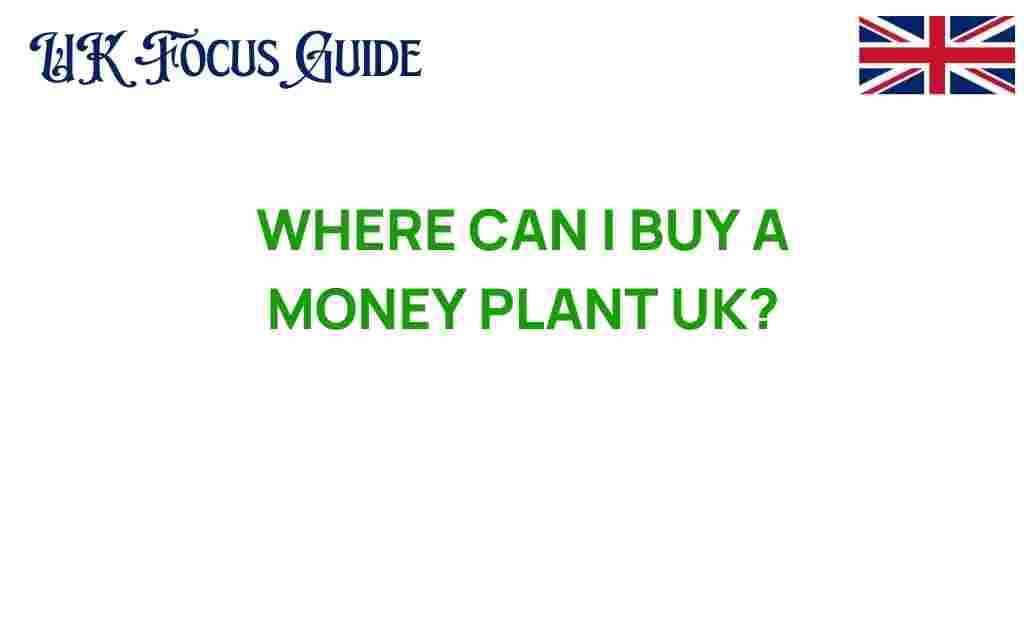 buy-money-plant-uk