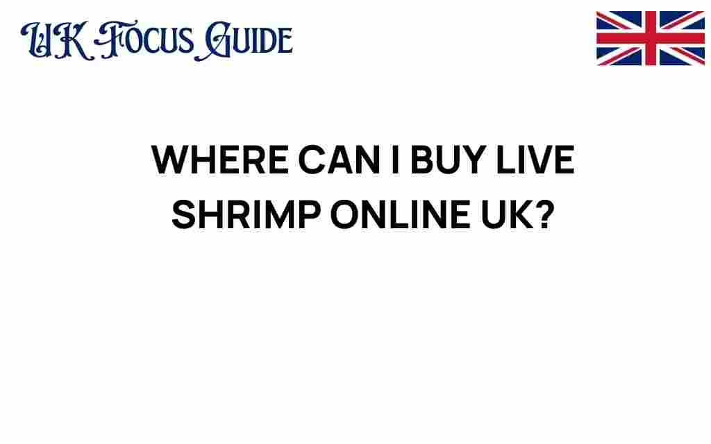 buy-live-shrimp-online-uk