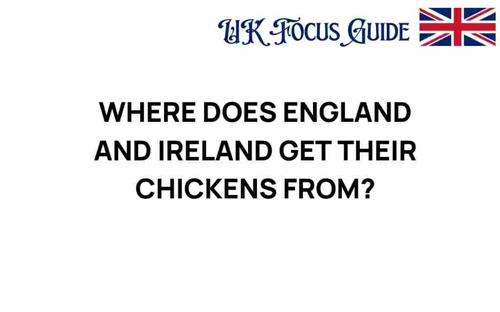 where-does-england-and-ireland-source-their-chickens